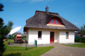 Seemöwe, Glowe